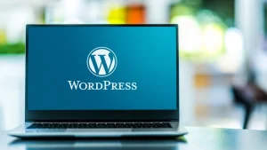 creating a wordpress website